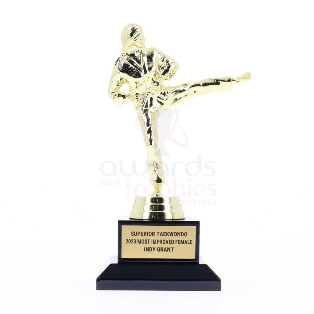 Karate Action Fig Female 160mm